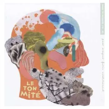 Zahraniční hudba 2LP Le Ton Mité: Passé Composé Futur Conditionnel 2017 Gatefold Vinyl