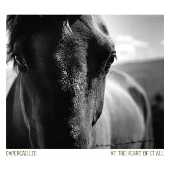 Zahraniční hudba CD Capercaillie: At The Heart Of It All 2019