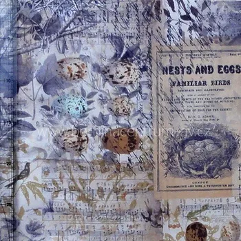 Coats Tim Holtz Eggs Wallflower ostatní potisk vícebarevná bavlněná látka patchwork