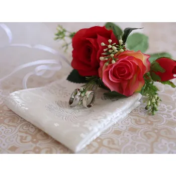 Pánské sako HEDVA ČESKÝ BROKÁT Kapesníček Vsh 408 BROKÁT cínie malá šampaň