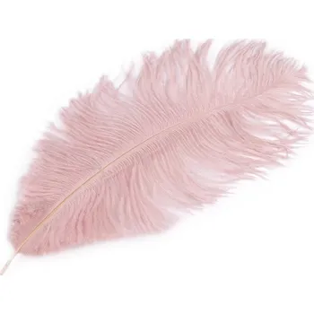 Karnevalový doplněk StoklasaPštrosí peří 25 cm - světle růžová