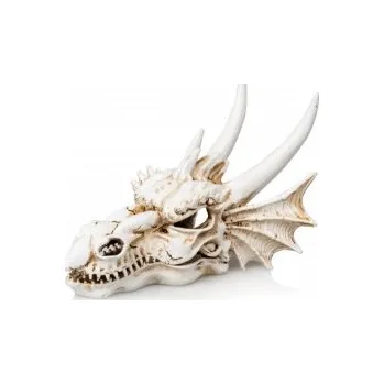 Teraristika GiganAqua Dračí lebka