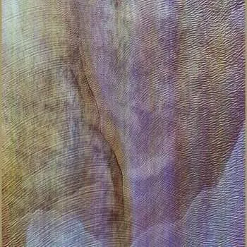 Zahraniční hudba CD Akron/Family: Sub Verses 2013