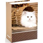 Fandy Friend 1 12,5 x 16,5 cm kočka 100…