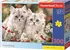 Puzzle Castorland Koťata perské kočky 200 dílků