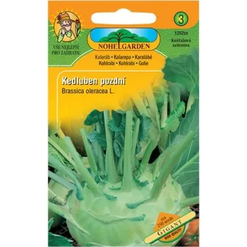 Pěstitelství Kedluben pozdní bílý GIGANT