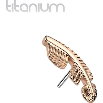 Piercing Šperky4U Ozdoba - peříčko k PUSH IN piercingu - peříčko - TIT1222-RD