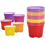 Květník sadbový COLOR DUO d9cm 15ks