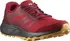 Pánská běžecká obuv Salomon Trailster 2 GTX Goji Berry/Ebony/Warm Apric 46