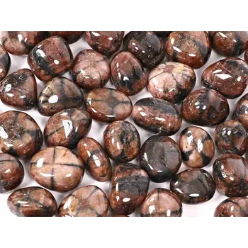 Drahý kámen Magieprirody.cz Tromlovaný kámen Chiastolit L velikost 25 - 30 mm - Španělsko #354 Množství: 1ks