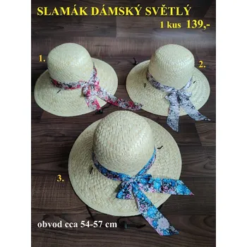 RC model auta SLAMÁK DÁMSKÝ SVĚTLÝ - 1