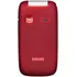 Mobilní telefon EVOLVEO EasyPhone FP