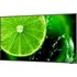 Monitor NEC MultiSync E438