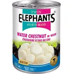 Twin Elephants Vodní kaštany v konzervě…