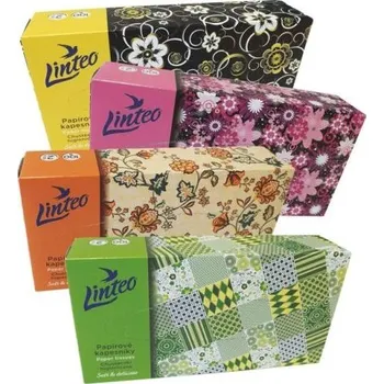 Papírový kapesník Kapesníčky papírové Linteo, dvouvrstvé, krabice, 100 ks