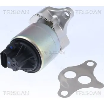 Ventil palivového systému AGR-Ventil TRISCAN 8813 21001