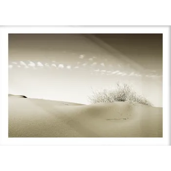 Plakát Plakát / Obraz Poušť A4 - 21 x 29,7 cm Pololesklý saténový papír