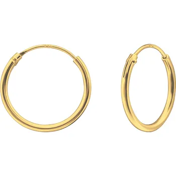Náušnice Pozlacené kruhy 14 mm Ag 925/1000