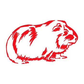 Samolepící dekorace SAMOLEPKA Morče 002 pravá (10 - červená) NA AUTO, NÁLEPKA, FÓLIE, POLEP, TUNING, VLASTNÍ TEXT, TISK, AUTOSAMOLEPKY.cz, POLEPY, OBRÁZEK, LOGO, SAMOLEPKY