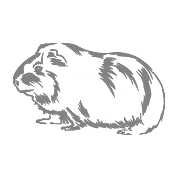 Samolepící dekorace SAMOLEPKA Morče 002 levá (17 - šedá) NA AUTO, NÁLEPKA, FÓLIE, POLEP, TUNING, VLASTNÍ TEXT, TISK, AUTOSAMOLEPKY.cz, POLEPY, OBRÁZEK, LOGO, SAMOLEPKY