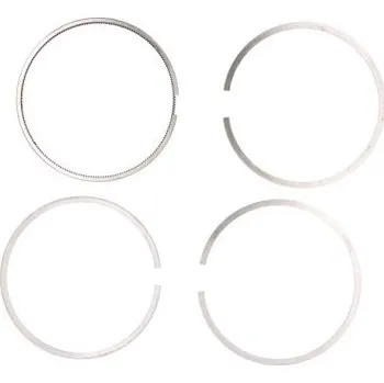 Píst motoru Sada pístních kroužků RVI 10081