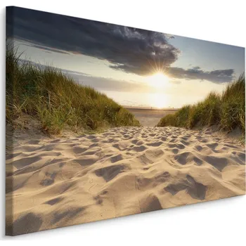 Obraz Plátno Cesta K Moři Varianta: 30x20