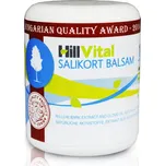 HillVital Salikort Balsam 250 ml