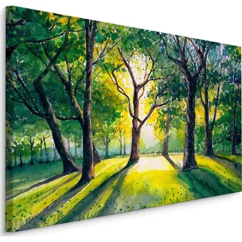 Obraz Plátno Ráno v Lese Varianta: 30x20