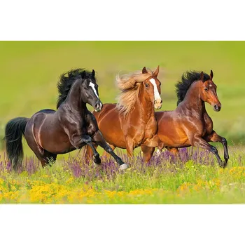 Plakát Plakát, Obraz - Horses - Run