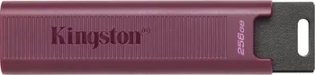 USB flash disk Kingston DataTraveler Max 256 GB (DTMAXA/256GB)