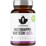 Puhdistamo Lactic Acid Bacteria…