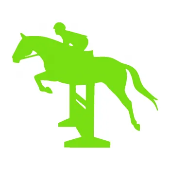 Samolepící dekorace Kůň 090 levá skok přes překážku (04 - zelená kawasaki) SAMOLEPKA NA AUTO, NÁLEPKA, FÓLIE, POLEP, TUNING, VLASTNÍ TEXT, TISK, AUTOSAMOLEPKY.cz, POLEPY, OBRÁZEK, LOGO, 3D STICKERS