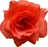 Látková růže k aranžování 7 cm, červená