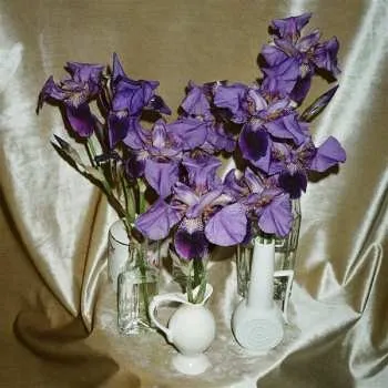 Zahraniční hudba CD Dives: Wanna Take You There 2022