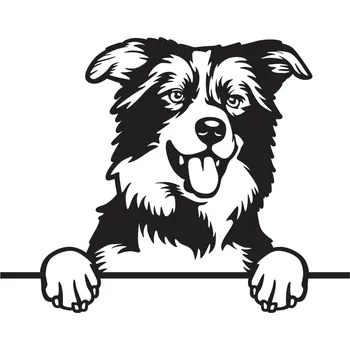 Vsepropejska Border kolie dřevěná dekorace na zeď Rozměr (cm): 35 x 27