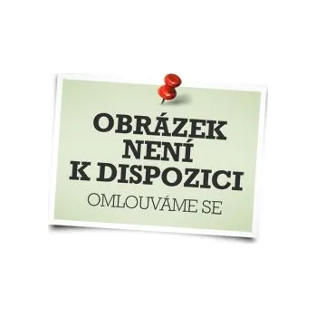 Kotel Termočlánek Buderus