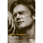 Malý život - Hanya Yanagihara (2022,…