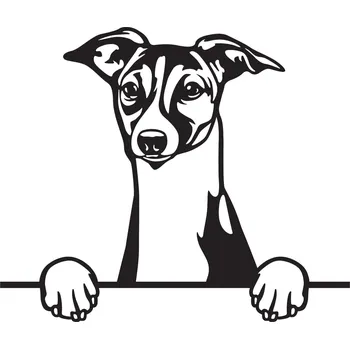 Vsepropejska Chrt dřevěná dekorace na zeď Rozměr (cm): 38 x 32, Typ: Chrt 2