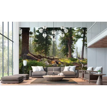 Fototapeta Malvis ® Tapeta les v létě Vel. (šířka x výška): 144 x 105 cm