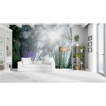 Fototapeta Malvis ® Tapeta Detail přírody Vel. (šířka x výška): 144 x 105 cm