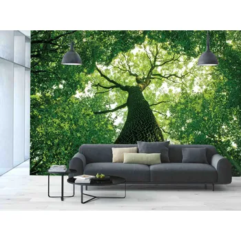 Fototapeta Malvis ® Tapeta Zelená koruna Vel. (šířka x výška): 144 x 105 cm