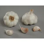 Vilmorin Therador sadbový česnek 8 ks