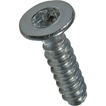 Šroub Šroub do termoplastů PT s drážkou TORX zápustná hlava BN 20167 K 35x12 BN 20167 A2