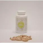 Ondřej Ullrich Rdesno mnohokvěté 120…