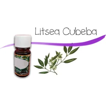 Vůně do bytu Vonný olej Litsea Cubeba - vonnekameny.cz