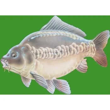 Pánské tričko DIVJA Tričko (triko) potisk kapr Velikost: L