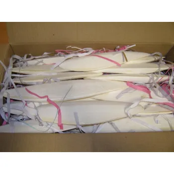 Krmivo pro ptáka Zagers Vogelvoeders Sépiová kost pravá broušená 20-30 cm 2 kg v balení je cca 30 sépiových kostí