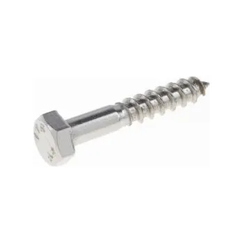 Vrut PRUMIX Vrut se 6hr. hlavou 10x80