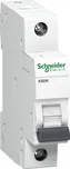 Schneider Electric A9K01116