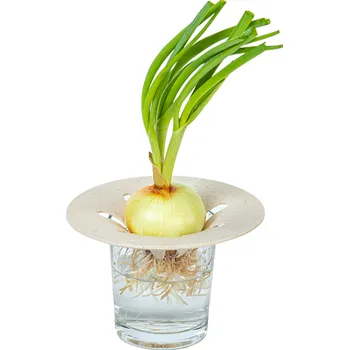 Pěstební box Klíčící miska na Avokádo/Cibuli, slonová kost s kávovou sedlinou